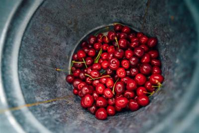 How to travel like a foodie: Tips for planning a culinary vacation
