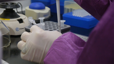 Positive Tests for COVID-19 Climb Above 1,100 in Delaware