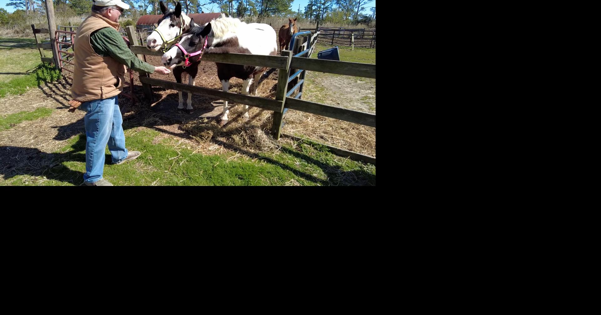 Beebe Ranch Future Becoming More Clear | Latest News | wboc.com