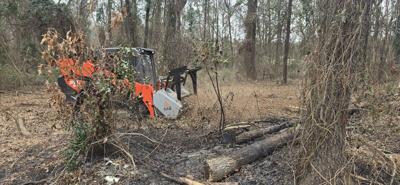 The Smart Choice for Land Clearing in Fruitvale, TX