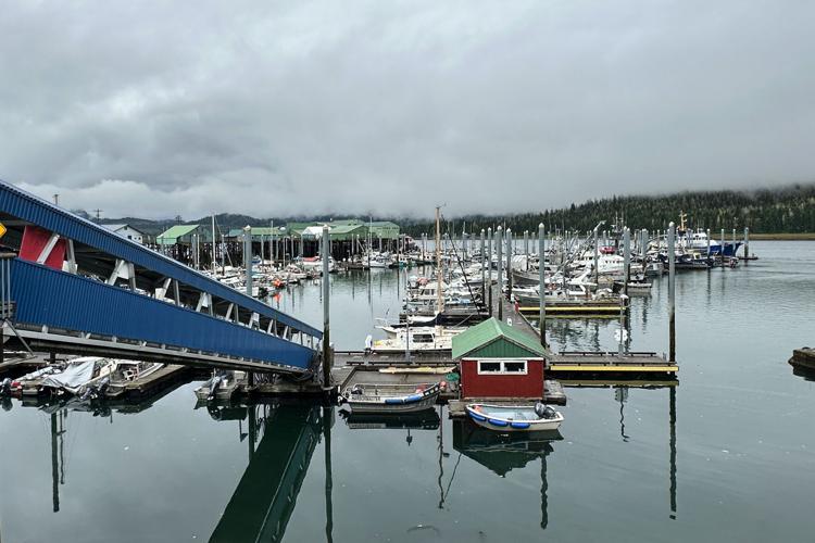 Election 2026 Alaska