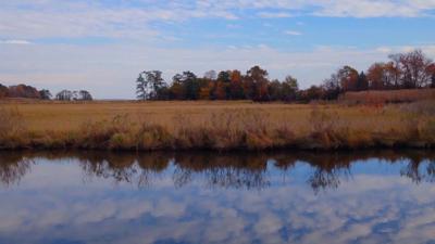 Travels With Charlie: Rule of Thirds 2021