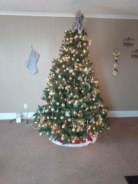 Joy Hignutt's tree in Greensboro, Md.