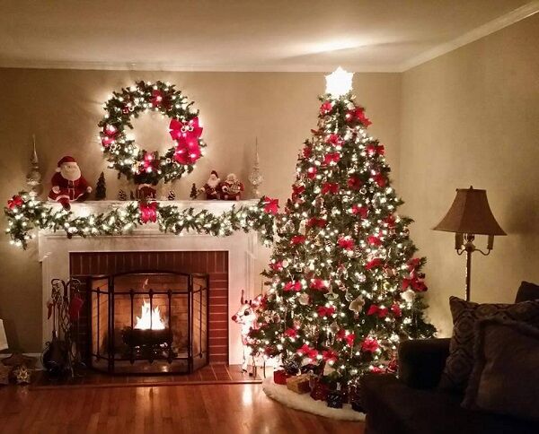 Nolan, Shaw family tree