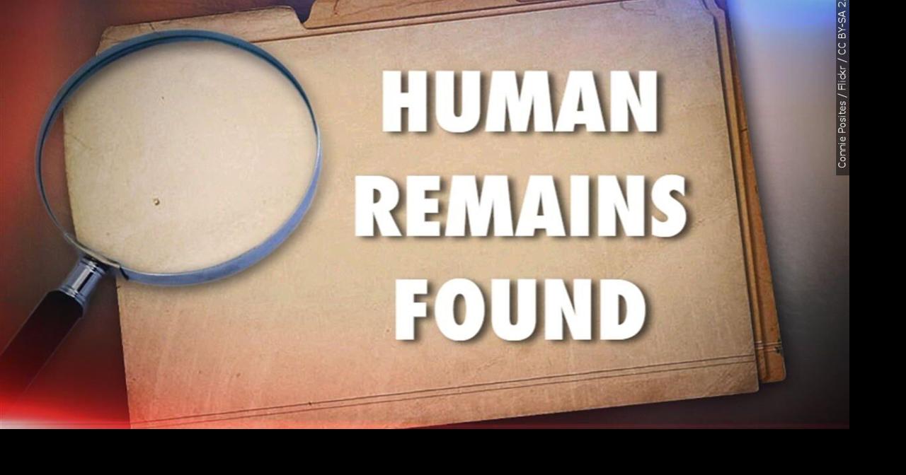 Human remains found in Dover, police launch investigation