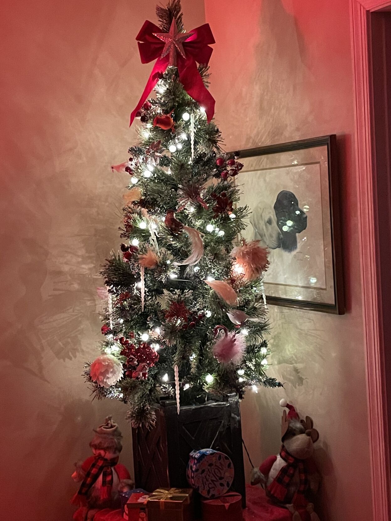 Mary Beth Belgie's tree.