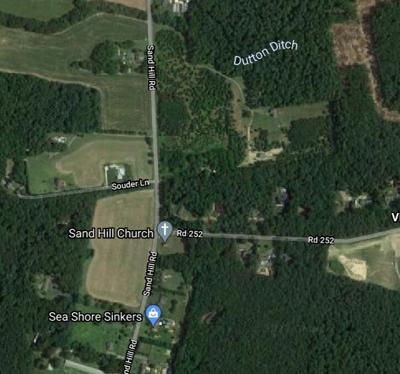 Worker Dies After Part of Tree Falls on Him Near Milton