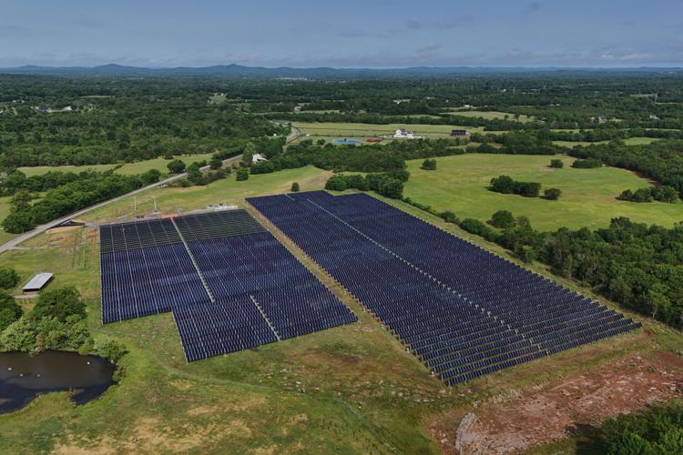 Climate Solar Farm Cattle