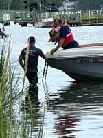 Dog Rescued from Tree on Banks of Lewes-Rehoboth Canal