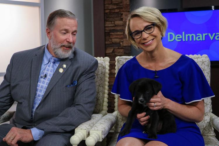 jimmy-lisa-and-dog-2