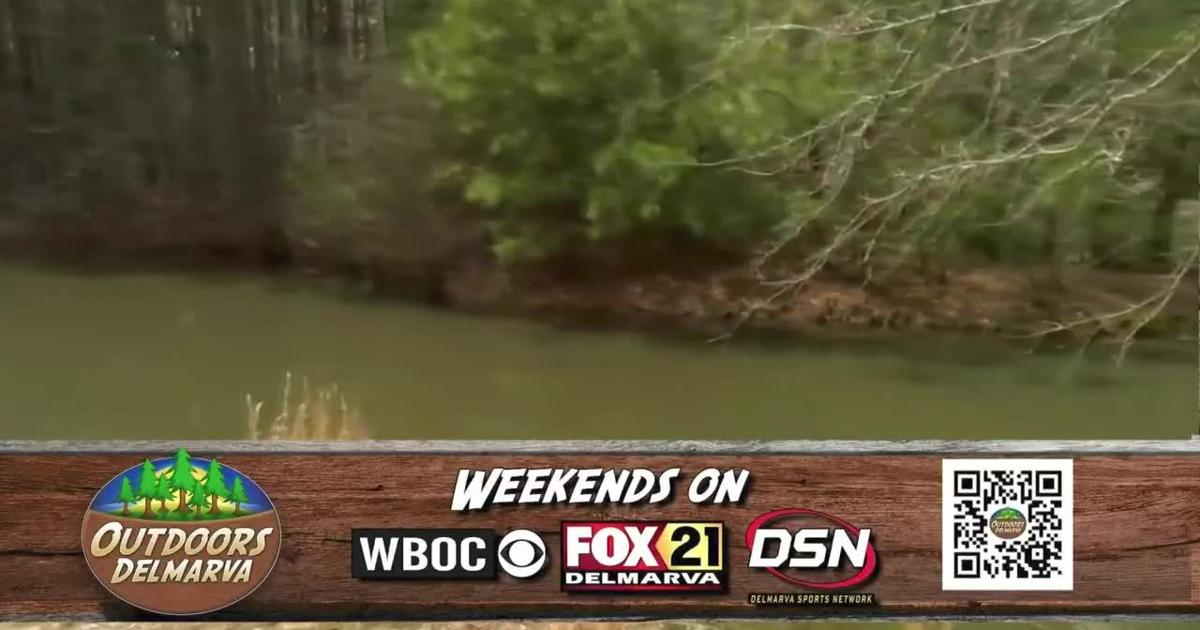 Wboc Sunday Morning News Latest Newscasts Wboc Wboc Sunday Morning News Latest Newscasts Wboc