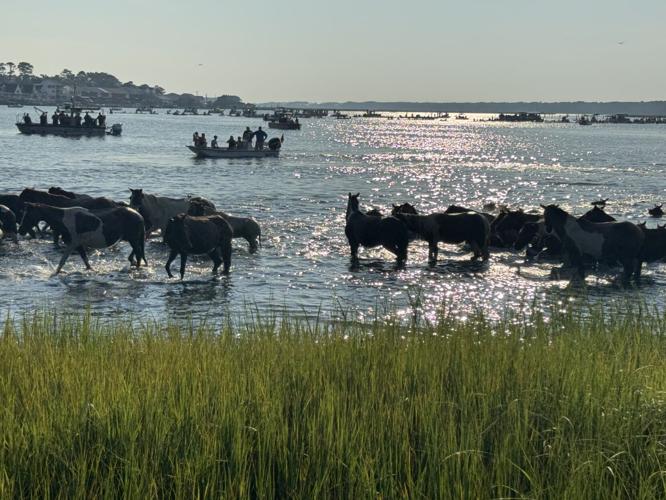 Photo Jul 30 2025, 8 11 59 AM.jpg