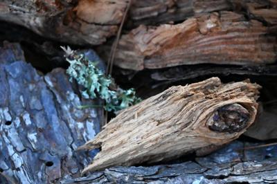 271748914_10223133053213891_4901064399990154346_n