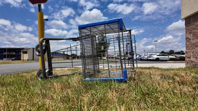 Abandoned Shopping Cart