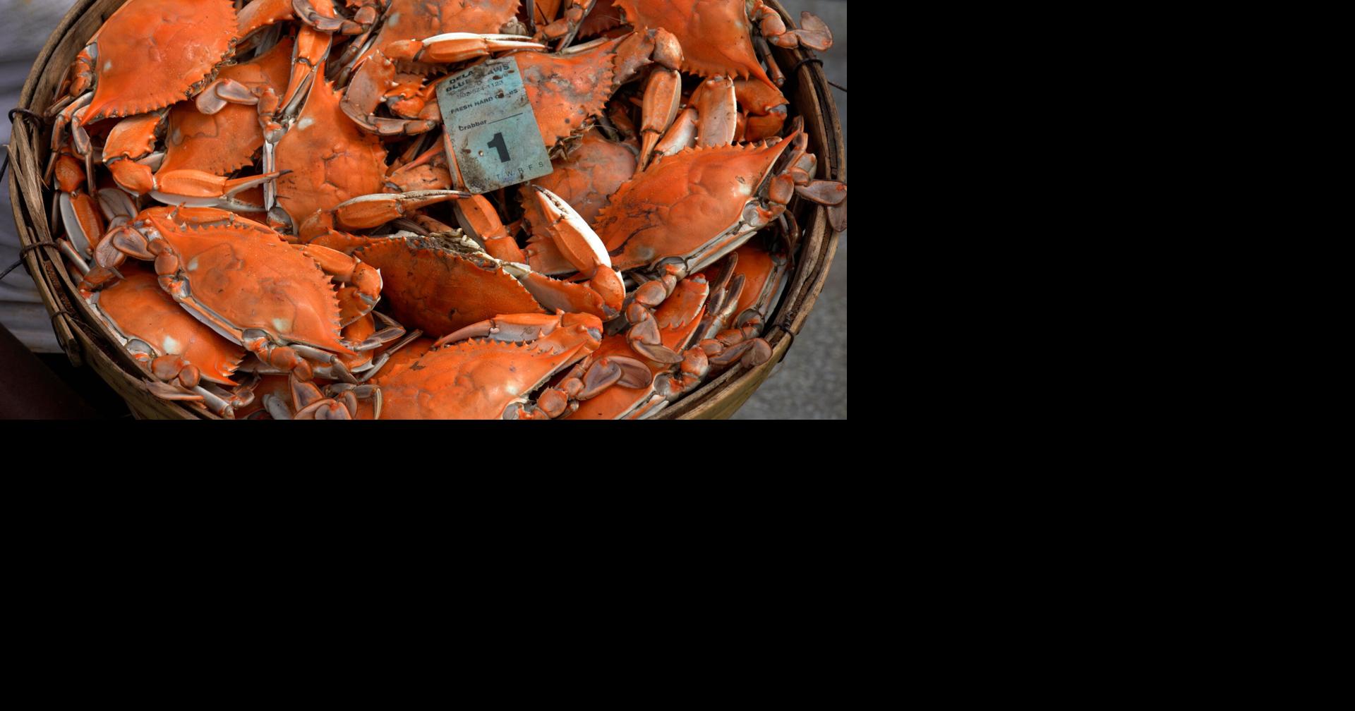 Summer citation roundup: Maryland Natural Resources Police issue multiple illegal crabbing, fishing citations