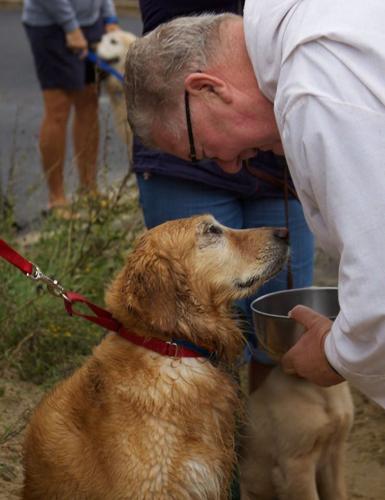 14556660_648604051979979_6219962604467214264_o