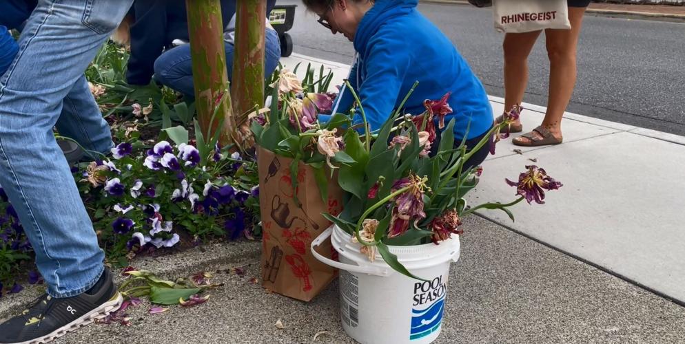 LEWES IN BLOOM 4.JPG