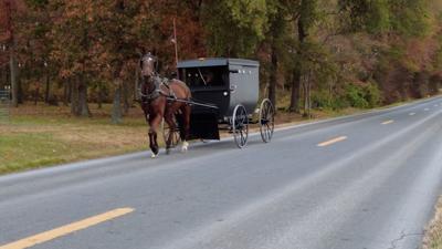 horse and buggy