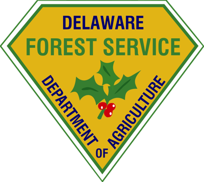 DFS-LOGO2-2.png