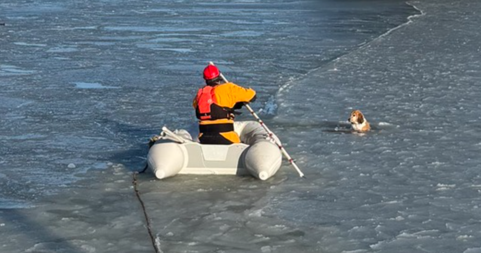 Onancock Fire Department Dog Rescue
