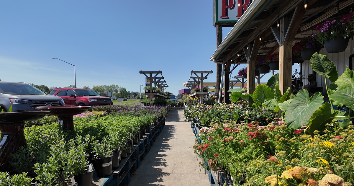 Лето весной? В Солсбери обрушилась почти рекордная апрельская жара