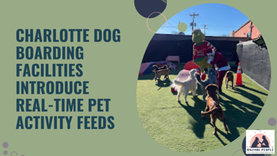 Charlotte Dog Boarding Facilities Introduce Real-Time Pet Activity Feeds
