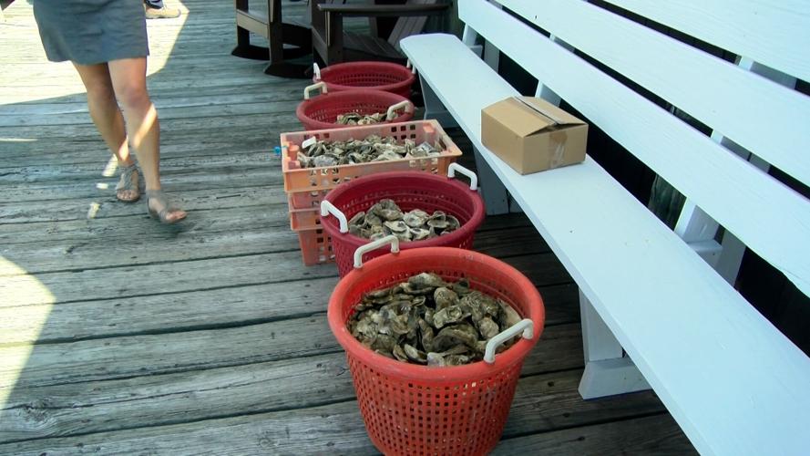 Oyster Recovery Partnership Dumps 10 Billionth Oyster Into The Bay