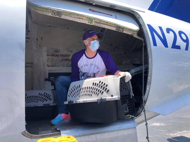 102824644_3089747281118096_7292035837991732186_o