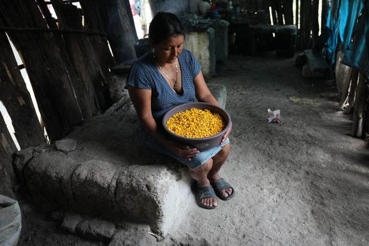 Honduras El Niño Drought