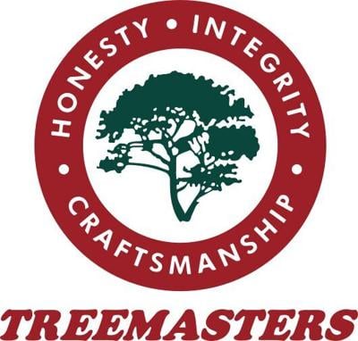 Sudden Oak Death Still Spreading in Marin — Treemasters Shares the Early Warning Sign Every Property Owner Should Know