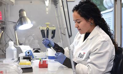 Connecting with Careers in Horticulture