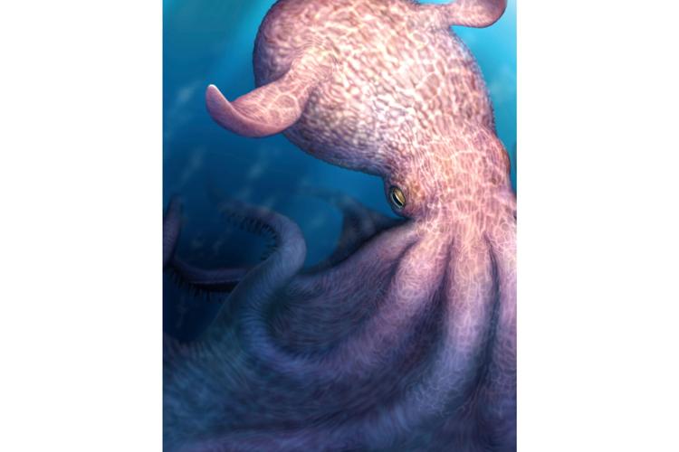 Ancient Predatory Octopus