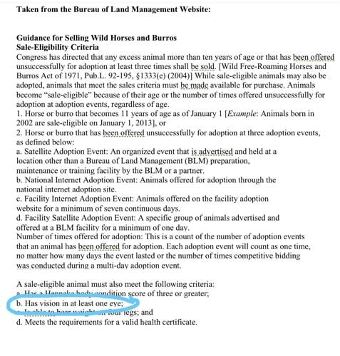 New Rules For Wild Horse Roundups May Not Help Horses