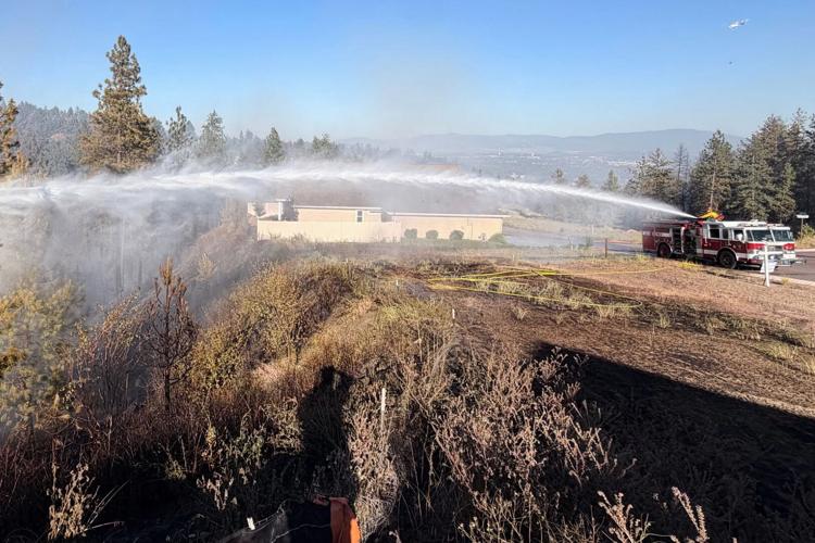 Western Wildfire