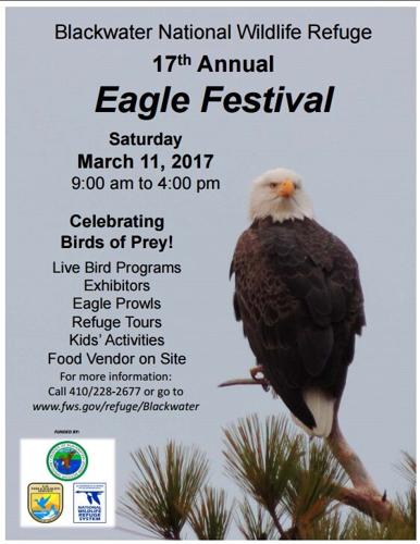 eaglefestival