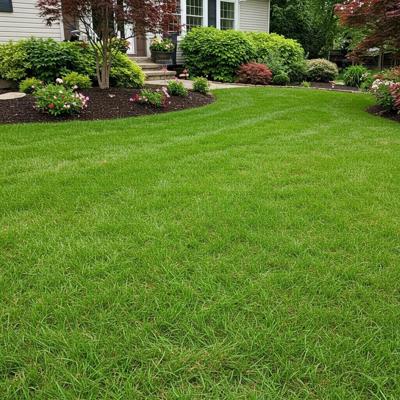Lynchburg Lawn Crew Expands Client Roster in 2024