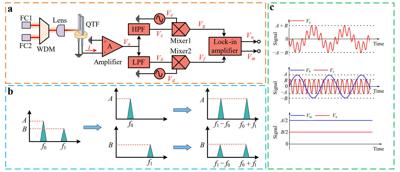 Single-QTF dual-gas LITES sensor using mixed-frequency heterodyne demodulation