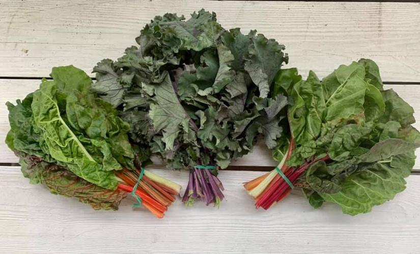 245035714_172016611767453_8580784007642794090_n