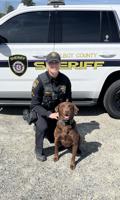 Three Talbot County Sheriff's K9s to get Protective Vests