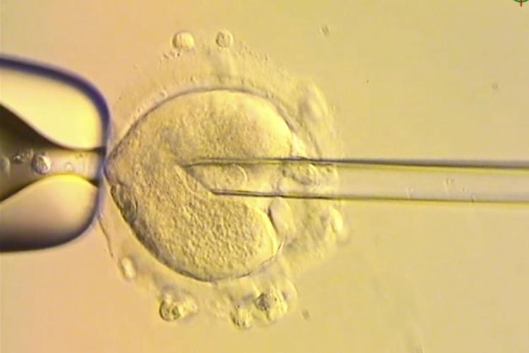 Three Person Baby