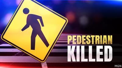 Pedestrian killed generic