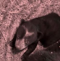 90304747_3168772526466870_6273388313831276544_n