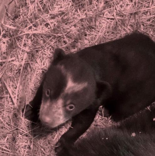 90304747_3168772526466870_6273388313831276544_n