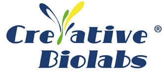 What Are the 4 Types of Cancer Vaccines? Creative Biolabs Reviews Key Research Strategies in Cancer Immunotherapy