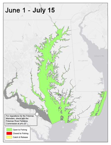 June 1 - July 15th Rockfish Regulation Map