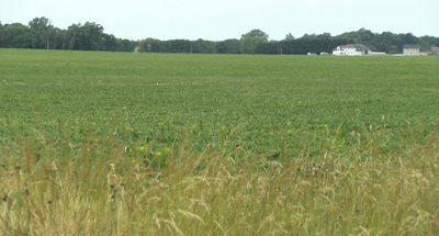 Proposed solar project near Centreville draws concerns from local leaders and conservation groups
