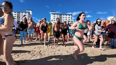 31st Annual Penguin Swim