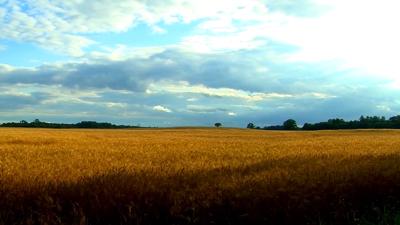 Travels With Charlie: “Less Than One Percent of Americans Are Farmers”