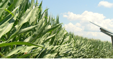 Nutrient Management Brings Concern for Maryland Farmers - Vimarsana News