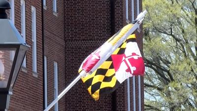 Maryland Flag